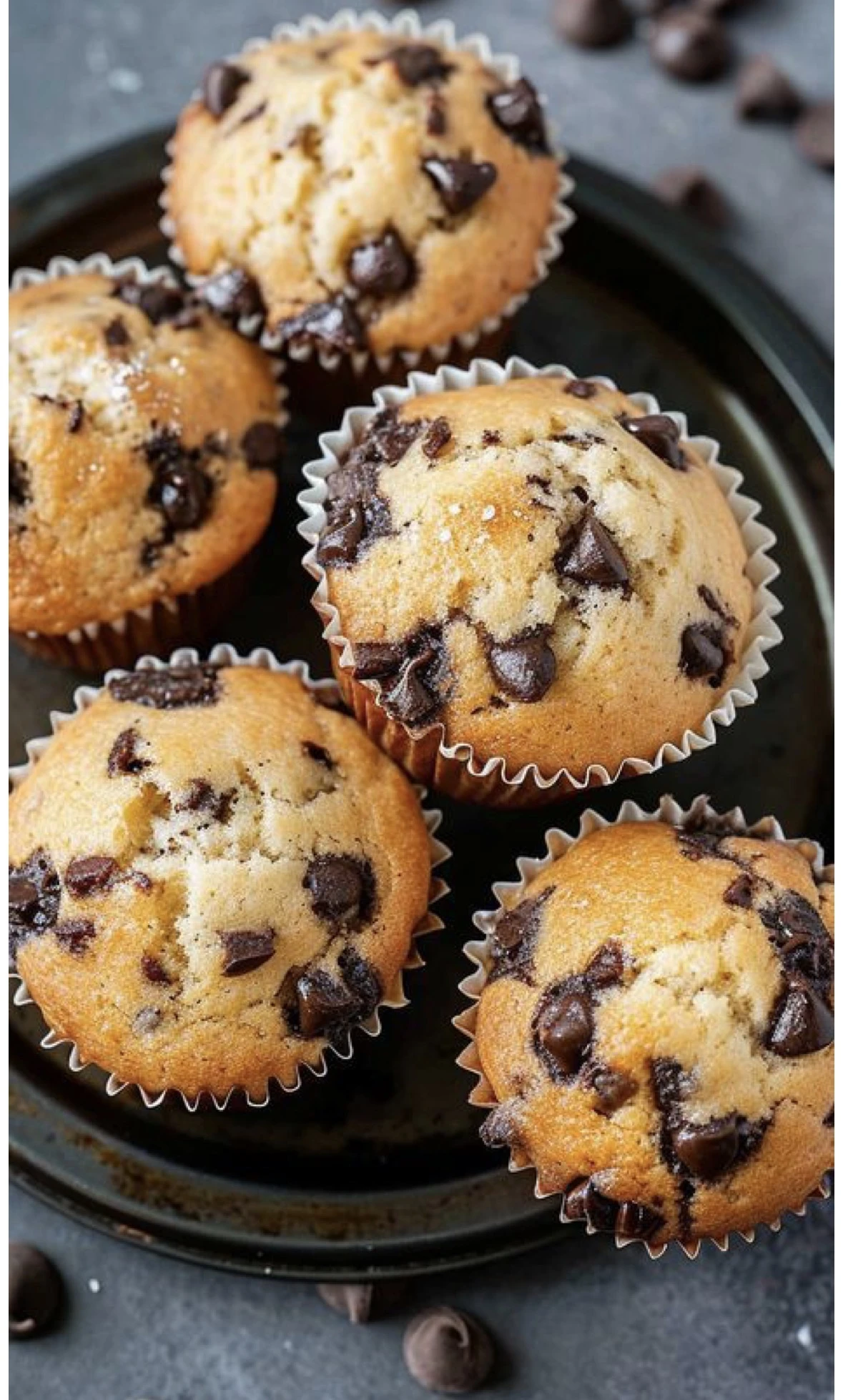 Vainilla and choco chips muffins